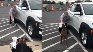 Dogs Are Being Used to Help With Curbside Pickups