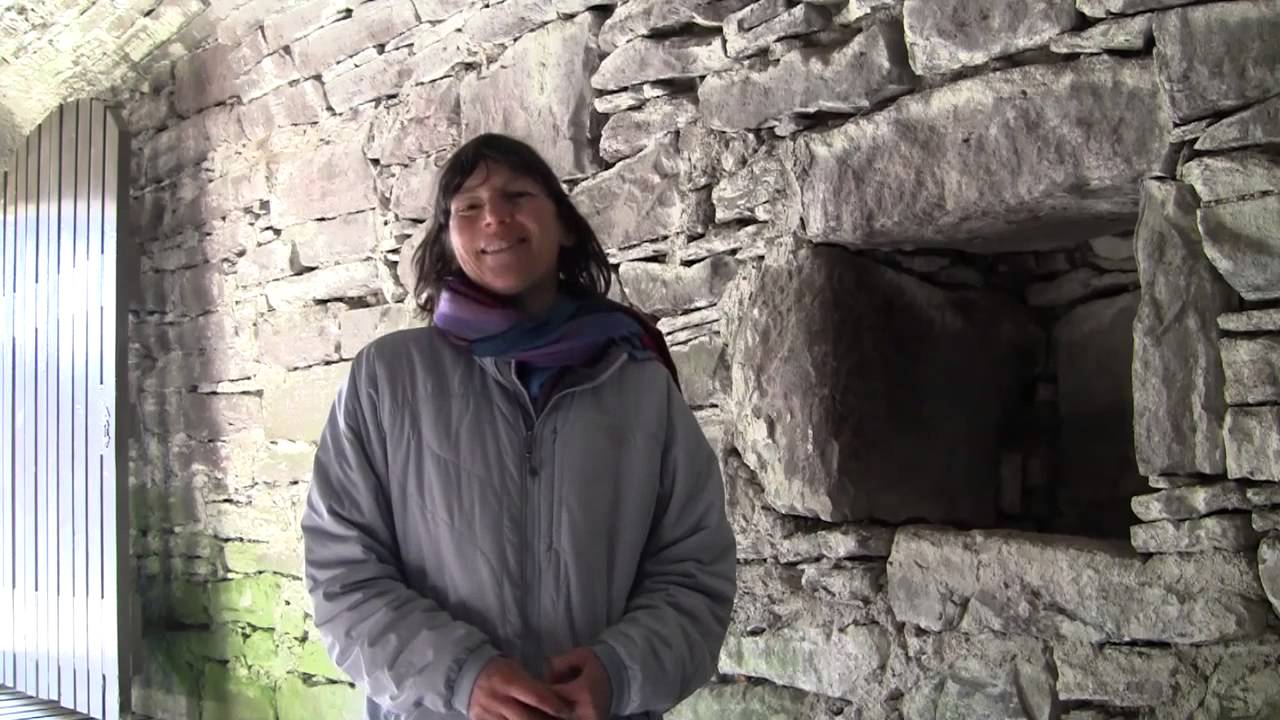 Anne Youngman   Bat Conservation Trust