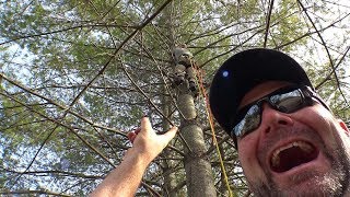 CRASH FOOTAGE...WE HIRED A PRO TO CLIMB UP AND GET IT!!