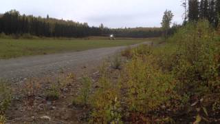Cessna 185 Float Plane Landing on Grass