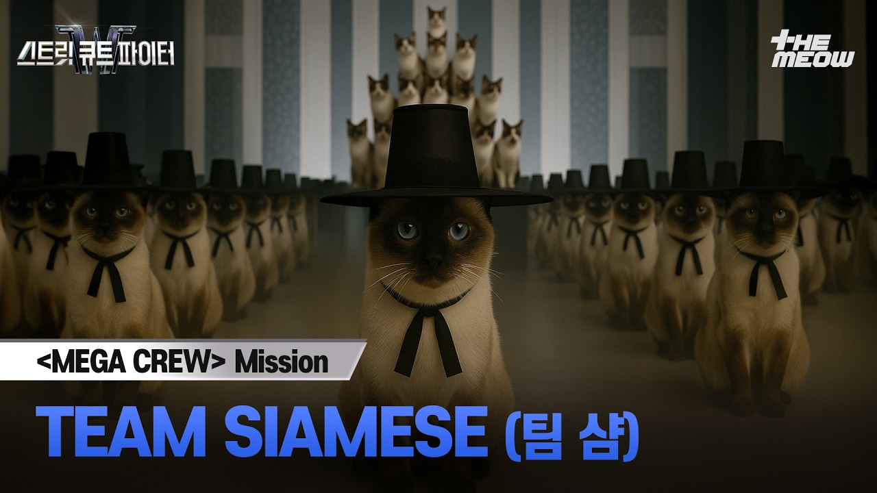 메가 크루 미션 글로벌 대중 평가 | TEAM SIAMESE(팀 샴)