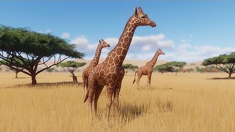 {PLANET ZOO} Reticulated Giraffe Habitat Build