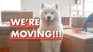 We're Moving! | Tips for Moving with Pets and Update