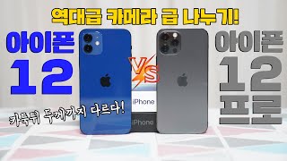 아이폰 12 vs 아이폰 12프로, 카메라 급 나누기 너무 심한데? feat. 뭘 사야할지 정해드림