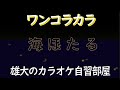 海ほたる 昭和の歌謡ワンコラカラ