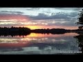 Binaural Bird Songs Wisconsin 1 Hour Bird Songs For Sleep Forest Birds Singing At Relaxing Lake