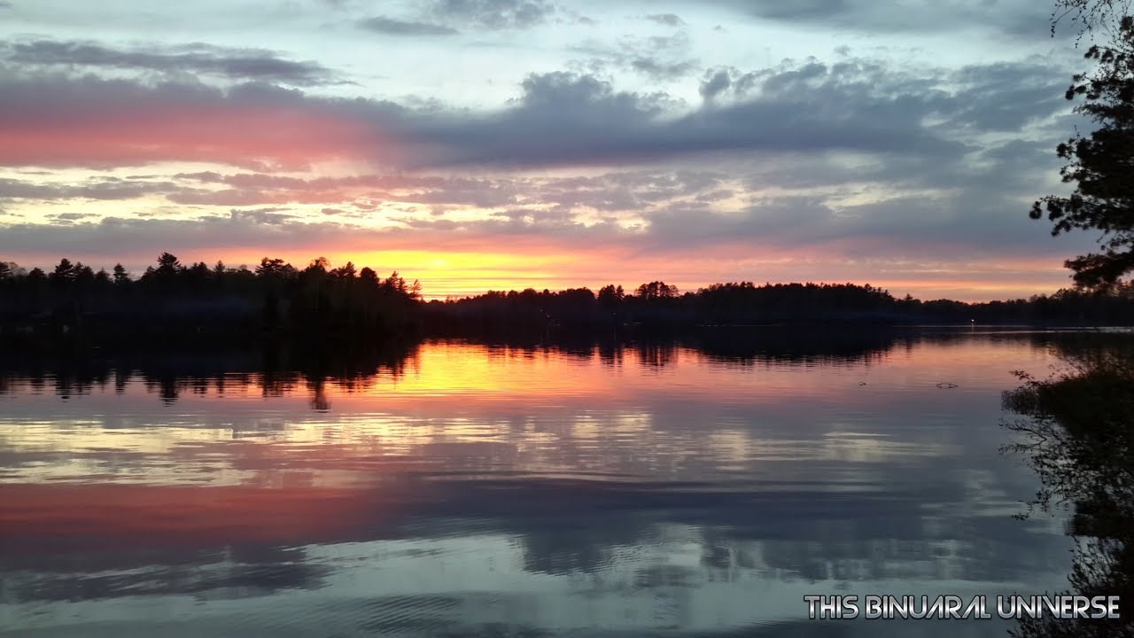 Binaural Bird Songs Wisconsin | 1 Hour Bird Songs For Sleep | Forest Birds Singing At Relaxing Lake