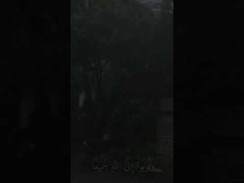 أجر لي ولك استغفر الله واتوب اليه اكسبلور  رب اغفر لي ذنوبي جميعها بما قدمت و اخرت