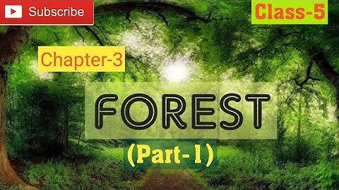 DAV | Forest |Class-5 | Chapter-3