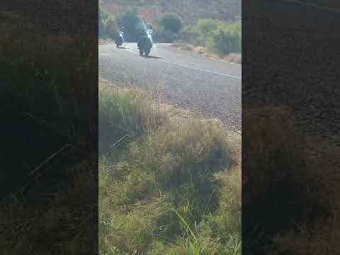 سياح اجانب جاو عدنا لدوار فيلاج تنالت عسل حر استكشاف Nature مغامرة العسل الطبيعي