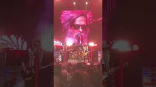 Lynyrd Skynyrd & ZZ Top : The Sharp Dressed Simple Man Tour [2024]