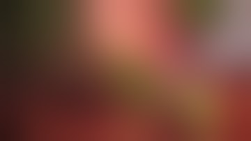 1688 AIM 4K: Laparoscopic Cholecystectomy