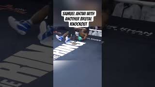Samuel Antwi with another brutal knockout #boxing