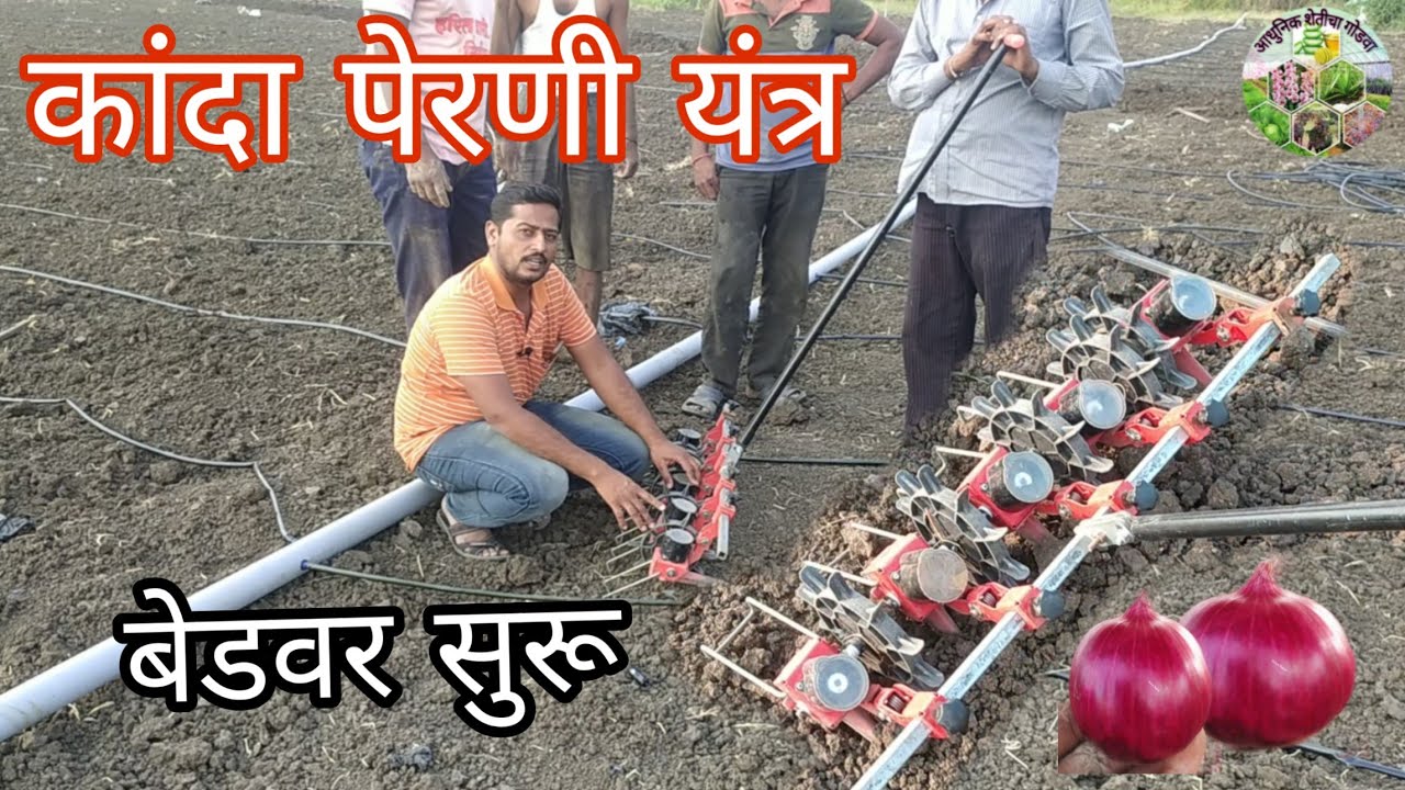 कांदा पेरणी यंत्र माणवचलित बेडवर सुरू | onion seeder on bed  #seeder #onion