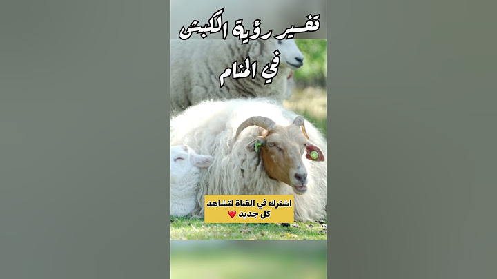 تفسير رؤية الكبش في المنام مع قرون وبدون قرون #تفسير_الأحلام #أحلام #منام