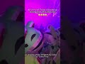 Lost Land 2025 - Frog Invasion | #shorts