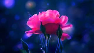 Lag Ja Gale Ke Phir On Chromatic Harmonica