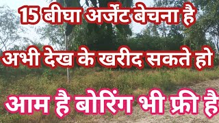 15 Bigha Farmhouse for sale, free mango trees and one borewell included, watch now, agriculture l...