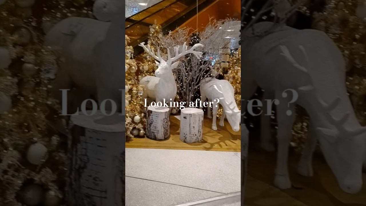 Daughter & my trip to Malmö, Sweden: The deer is wondering😦😦 what people are doing here 