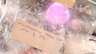 Weekly Wax Empties #25 and a few BBW Candles | 🤍Warm Wax Reviews | Vendor Wax🤍🕯