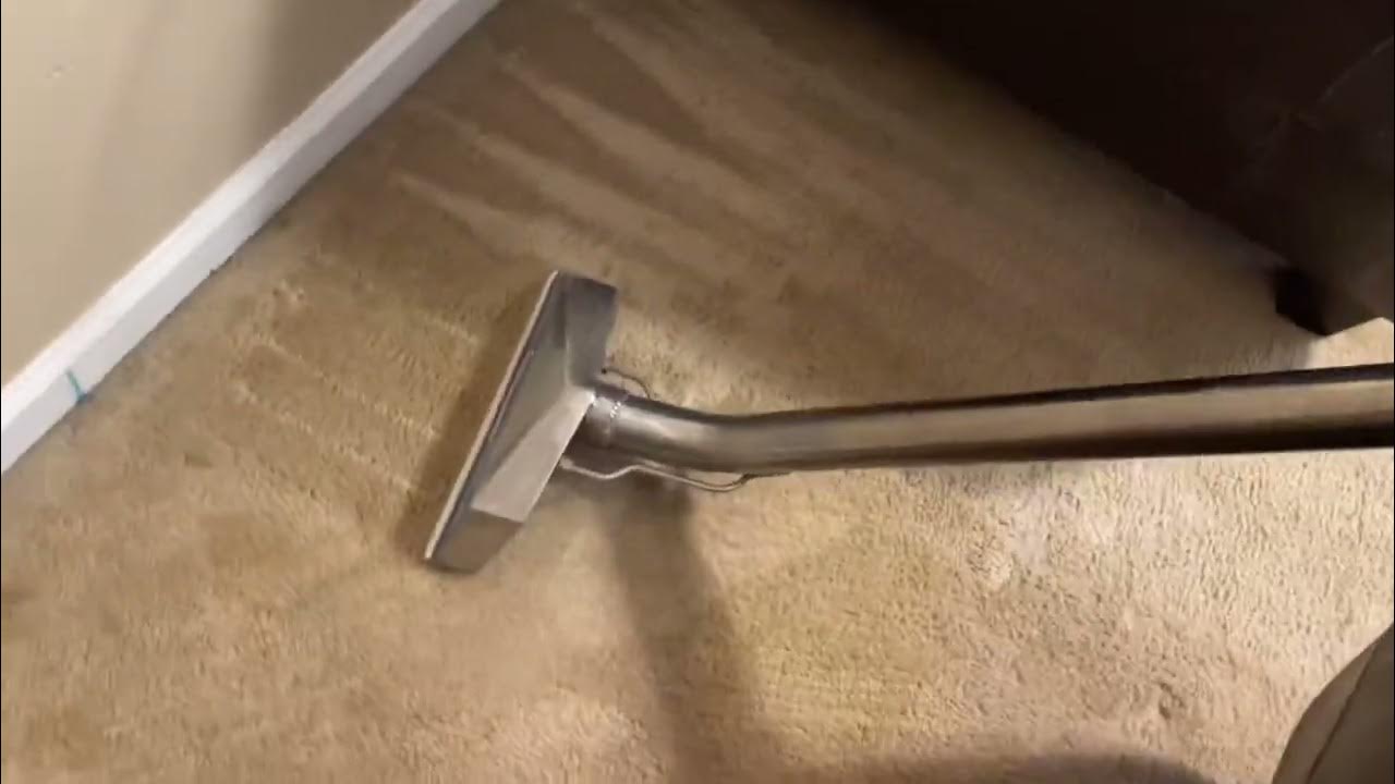 THOROUGH CARPET CLEANING ( carpets cleaned up nicely) Raking included