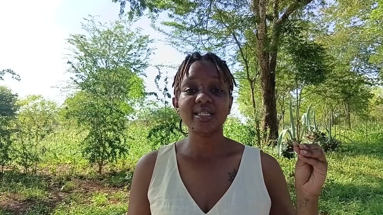 15 Mindset Shifts for Discipline, Clarity & Personal Growth