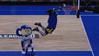 タツヲがカッコ良くダンクを決めるところを見届けるドアラ (2025/12/27)