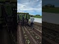 One machine can support dozens of people. In the past, planting relied on experience and physical