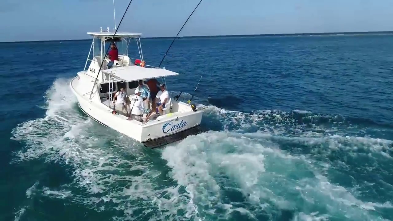 Carla Charters Aruba Fishing Charter Aruba YouTube