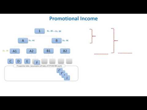 7 ID Pyramid Structure Promotional income Pattern on Socialtrade.biz