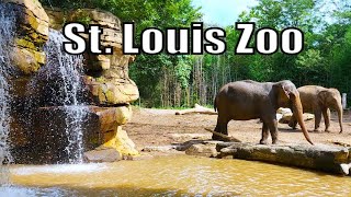 St. Louis Zoo Full Walking Tour