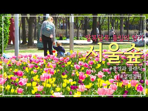 [풍경과 클래식] 19. 알록달록 튤립의 향기, 서울숲｜설렘정원｜풍경과 클래식