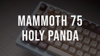 Mammoth 75 | Drop Holy Panda | PC Full plate | MT3 NOCTUA | Typing Demo