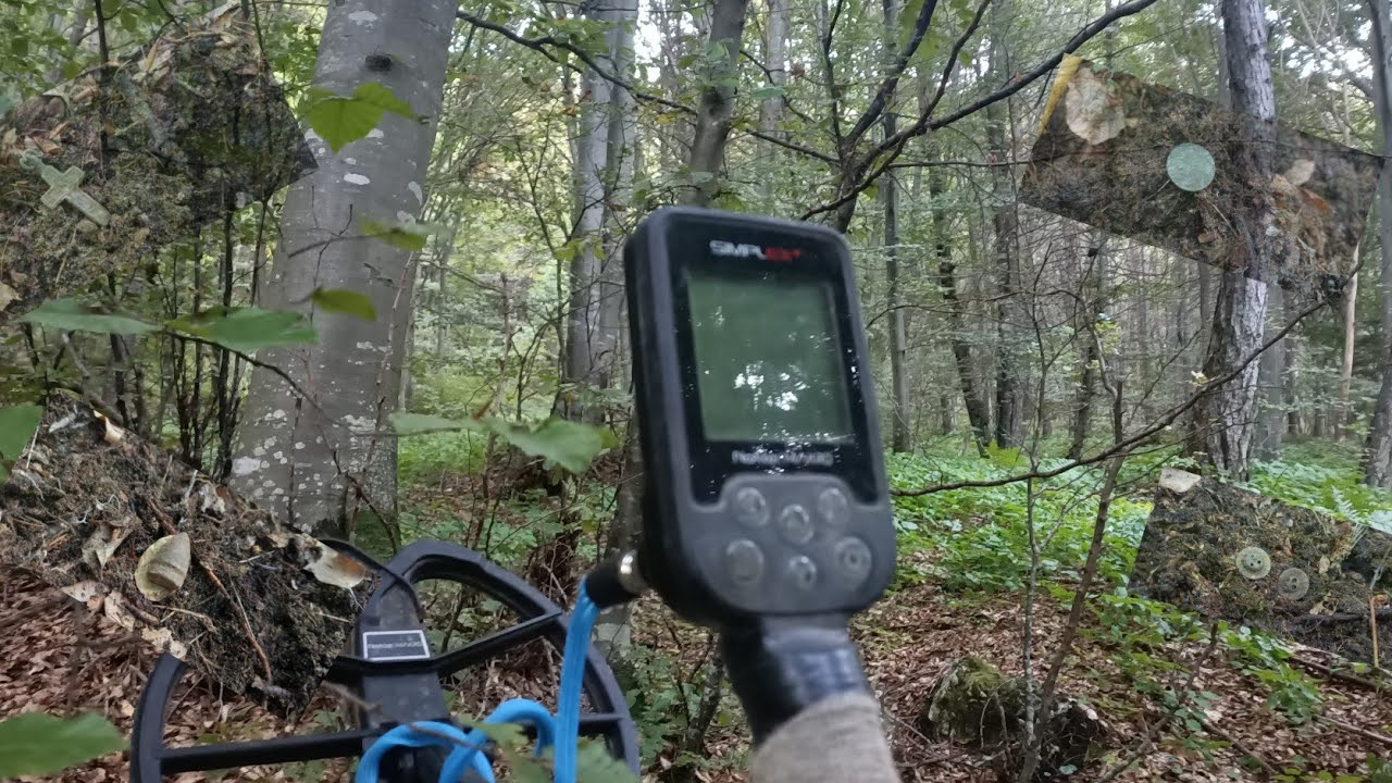 SODDISFAZIONI NEL BOSCO - TOP METAL DETECTOR 2.0