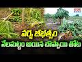 వర్ష బీభత్సం నేలమట్టం అయిన బొప్పాయి తోట | Heavy Rain In Kakinada District | CVR News