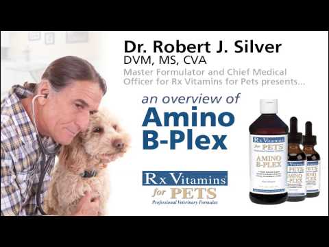 amino-b-plex-product-overview---rx-vitamins-for-pets