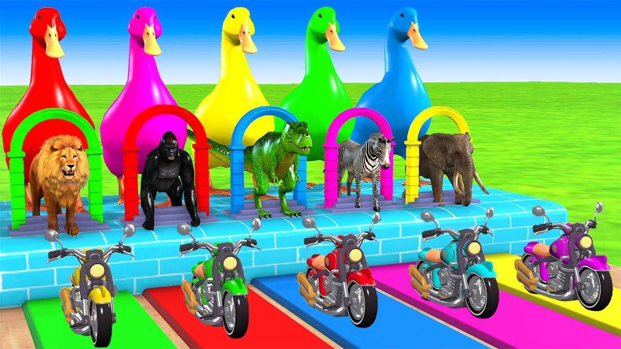 Long Slide Game With Elephant Gorilla Buffalo Hippopotamus Tiger 3d Animal Game Funny 3d Animals