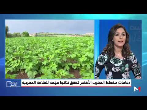 دعامات مخطط المغرب الأخضر تحقق نتائج مهمة للفلاحة المغربية
