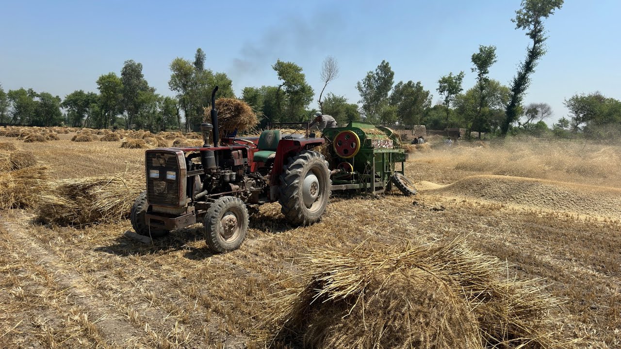 DIGITAL KISAN Pakistan is liveُ Wheat Threesher with Massey Tractor today