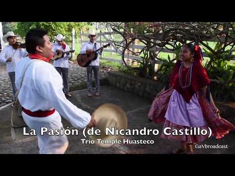 Zapateando "La Pasión" de Nicandro Castillo con el Trío Temple Huasteco
