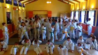 Stanford Warriors Jujitsu Harlem Shake