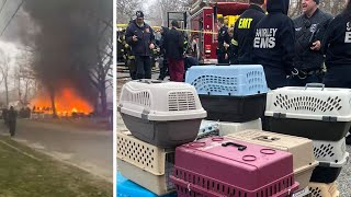 Multiple cats killed in fire at cat sanctuary on Long Island