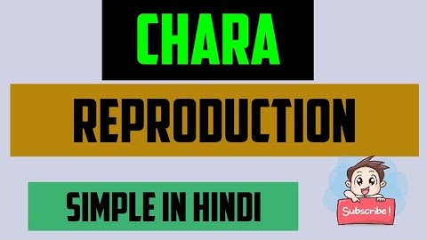 chara reproduction | development of globule and nucule | | fertilisation , germination | #charaalgae