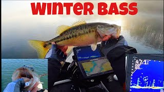 How To Livescope Winter Bass (Damiki Rig Beatdown!)