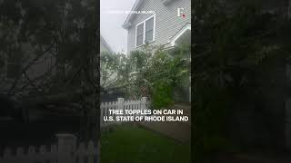 Watch: Dramatic CCTV Footage of a Tree Smashing a Parked Car in US screenshot 2