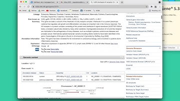 1. Multiple sequence alignment using SnapGene and Clustal W