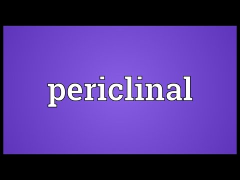 Header of periclinal