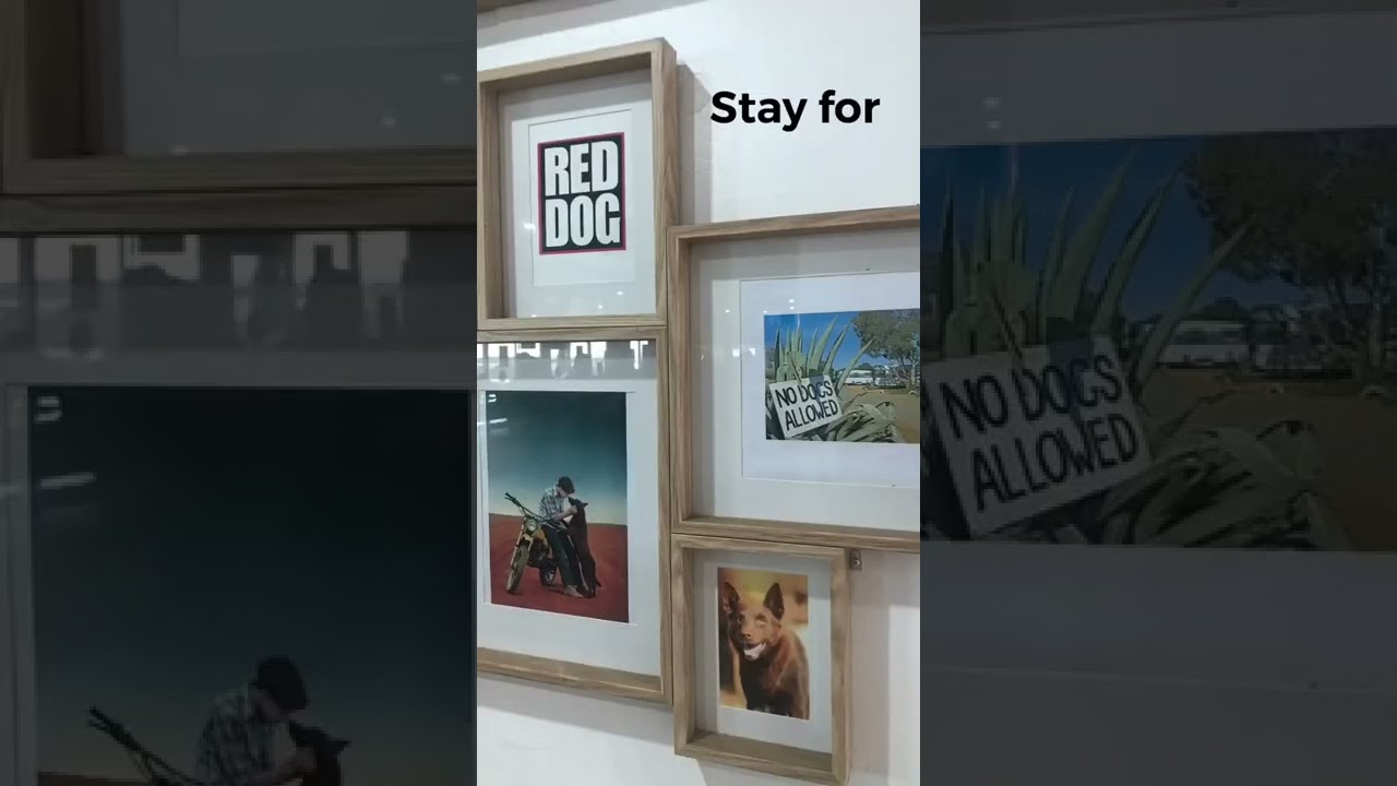 Going to see red dog!! In dampier