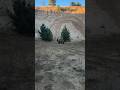 Demasiados baches en esta cuesta #parati #viral #quads #ltz #ltz400 #enduro #fyp #susto