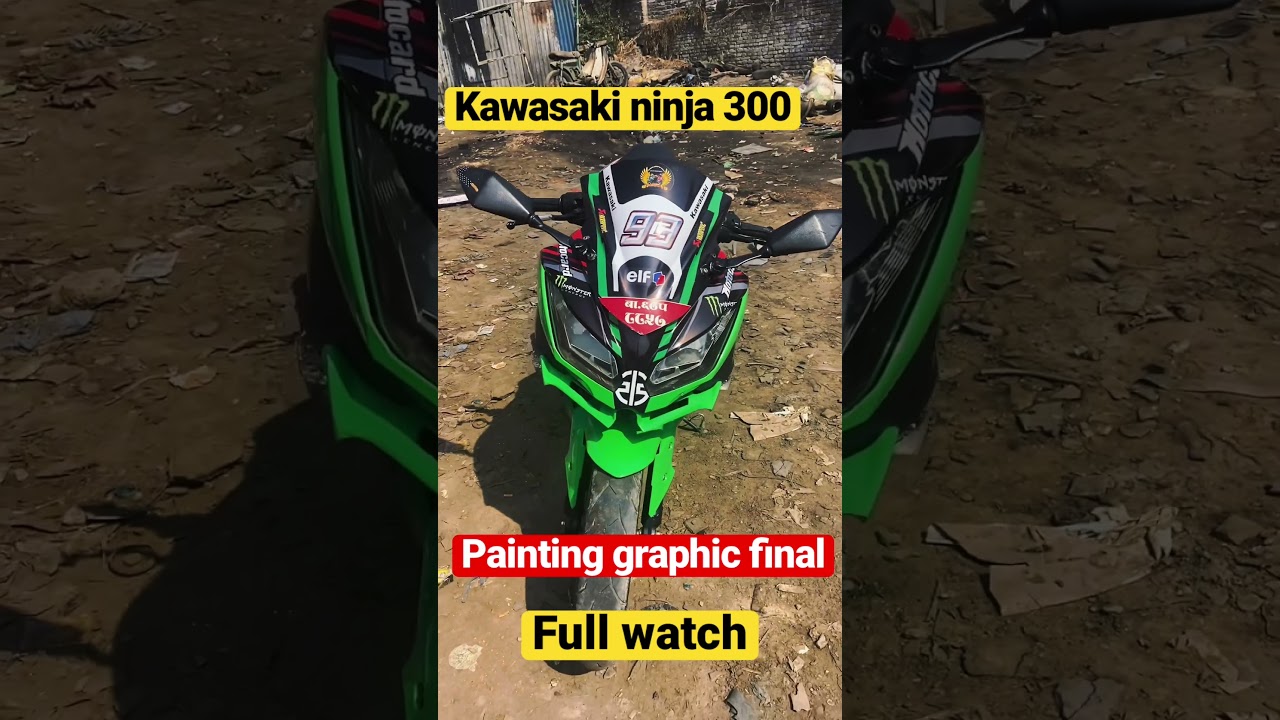 Kawasaki ninja painting graphic final